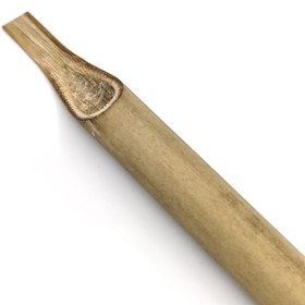 تصویر قلم بامبو سفید 