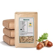 تصویر مغز بلوط خشک فله 