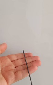 تصویر مغز اتود دومیل 