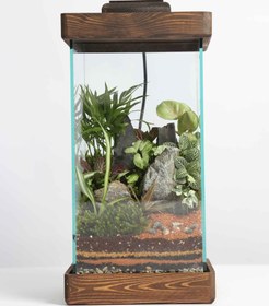 تصویر تراریوم اسکوئر 