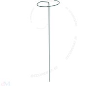 تصویر قیم نگهدارنده گیاه تک شاخ 