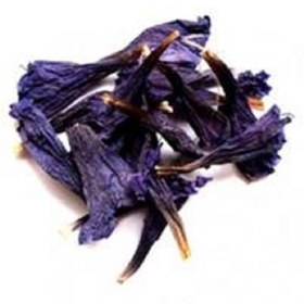 تصویر گل گاوزبان فله 