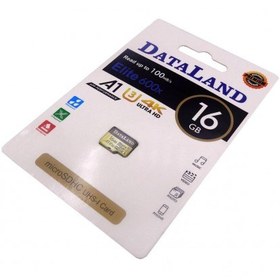 تصویر کارت حافظه MicroSDHC مارک DATALAND ظرفیت 16GB 