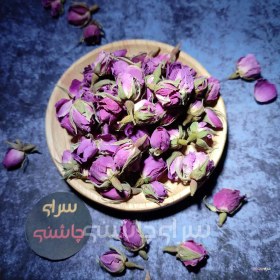 تصویر غنچه گل محمدی 