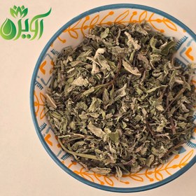 تصویر پونه کوهی 