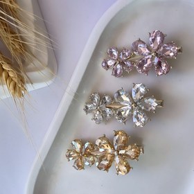 تصویر گلسر انبری مجلسی 