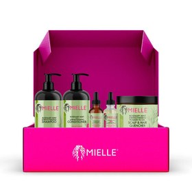 تصویر روغن رزماری و نعناع مدل لایت میل Mielle اصل آمریکا Rosemary and mint oil, Mielle Lite model, original from America