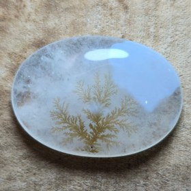 تصویر شجر قائن قواره دار طبع شیشه ای 