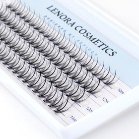 تصویر Lily Lash پالت میکس (10.12.12.14)