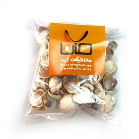 تصویر صدف دریایی 