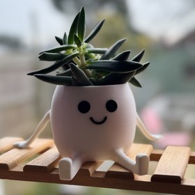 تصویر گلدان فانتزی Happy Pot 