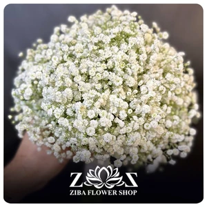 تصویر فروشگاه زیبا گل