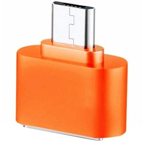 تصویر تبدیل OTG به USB OTG to USB Converter