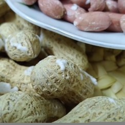 تصویر بادام زمینی غلاف دار - ۱کیلو گرم Shelled peanuts