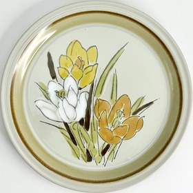 تصویر پلیت اکسونز 