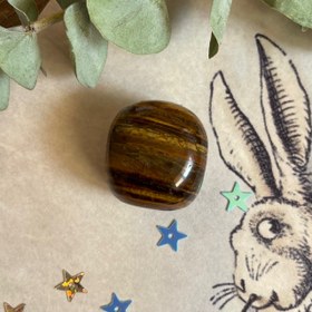 تصویر چشم ببر ۰۶ 