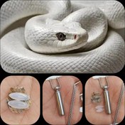 تصویر مهره مار مدالی Mohremar