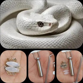 تصویر مهره مار مدالی Mohremar