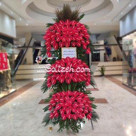 تصویر گل افتتاحیه بهرام 