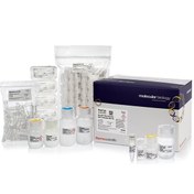 تصویر GeneJET Plant Genomic DNA Purification Kit 
