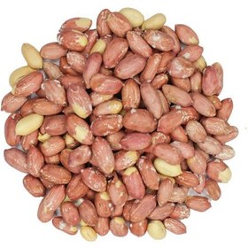 تصویر مغز بادام زمینی آستانه Peanut kernels