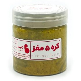 تصویر کره پنج مغز 