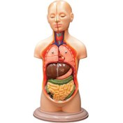 تصویر مولاژ نیم تنه با برش سر 