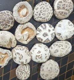 تصویر قارچ شیتاکه ژاپنی خشک بسته یک کیلویی shiitake mushroom dried