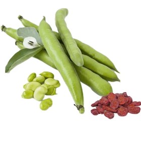 تصویر بذر باقالی 