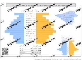 تصویر هرم سنی جمعیت (1390) محله جنت آباد جنوبی 