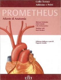 تصویر دانلود کتاب PROMETHEUS: Atlante di Anatomia. Collo, Torace, Addome e Pelvi PRIMA کتاب PRIMA
