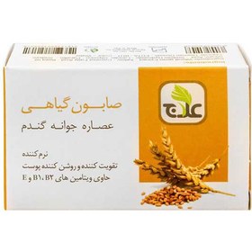 تصویر صابون گیاهی علاج عصاره جوانه گندم مقدار 100 گرم 