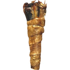 تصویر دورپیچ نیم‌قلم شترمرغ 