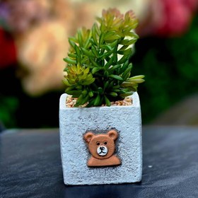 تصویر 504-A-1 گل 