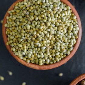 تصویر پودر تخم گشنیز 