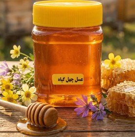 تصویر عسل چهل گیاه (نیم کیلویی) 