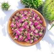 تصویر غنچه گل محمدی 