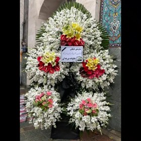 تصویر تاج گل اسنا 