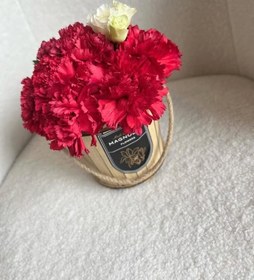 تصویر میخک گیاهی ایده‌آل برای هدیه به عزیزان 