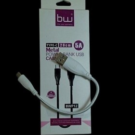 تصویر power bank usb cable type-c bwp12 