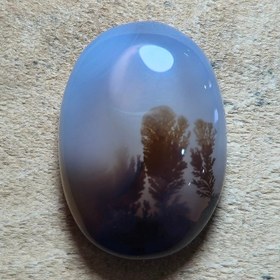 تصویر شجر قائن منظره زیبا 