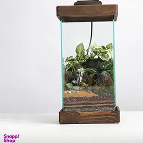 تصویر تراریوم اسکوئر کد 022 