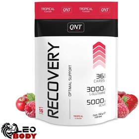 تصویر پودر ریکاوری کیو ان تی 