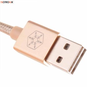 تصویر کابل تبدیل USB به USB-C سیلوراستون مدل CPU04 طول 1 متر 