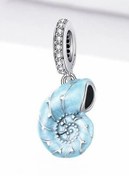 تصویر چارم زیبای صدف دریایی پاندورا 