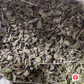 تصویر آویشن کوهی 