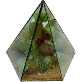 تصویر تراریوم مدل مثلث 