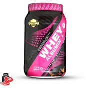 تصویر پودر پروتئین ترکیبی | وی آلبومین”۱۵۰۰ گرم “ 