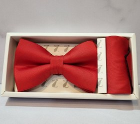 تصویر پاپیون P14 