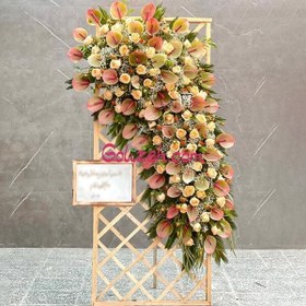 تصویر گل افتتاحیه گلسا 